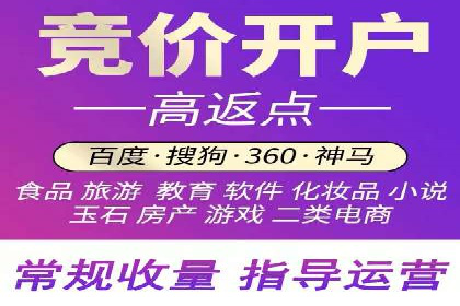 百度竞价排名案例解析：如何快速提升网站流量