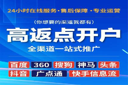 百度推广平台案例剖析：揭秘广告投放策略